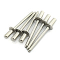 Professional Pop Rivet Peel Type Flower Blind Rivet Aluminium Blind Rivets Pins