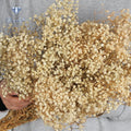 Wholesale Dried Flower Babybreath Preserved Gypsophila for Wedding Valentine's Day & Christmas Party Decoration-Romantic