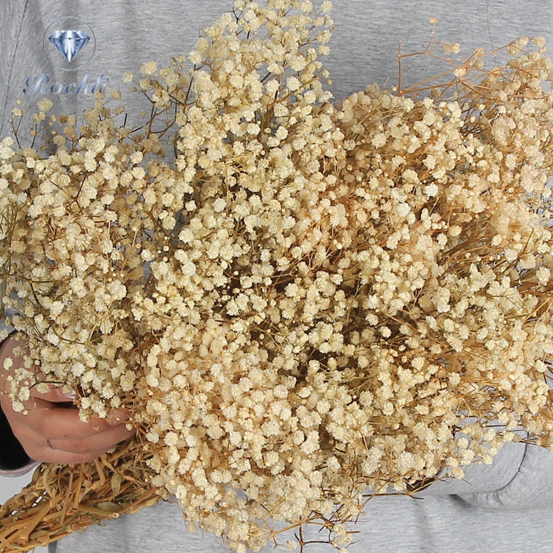 Wholesale Dried Flower Babybreath Preserved Gypsophila for Wedding Valentine's Day & Christmas Party Decoration-Romantic