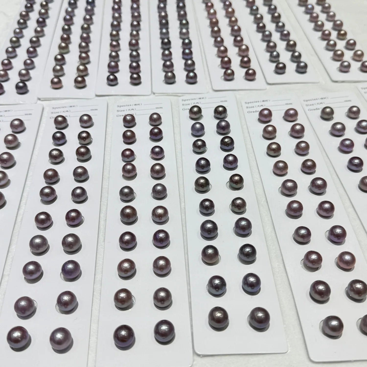 Edison Loose Pearl mm 8-12mm Paired Natural Purple Color Freshwater Pearl Round Shape Paired Pearls