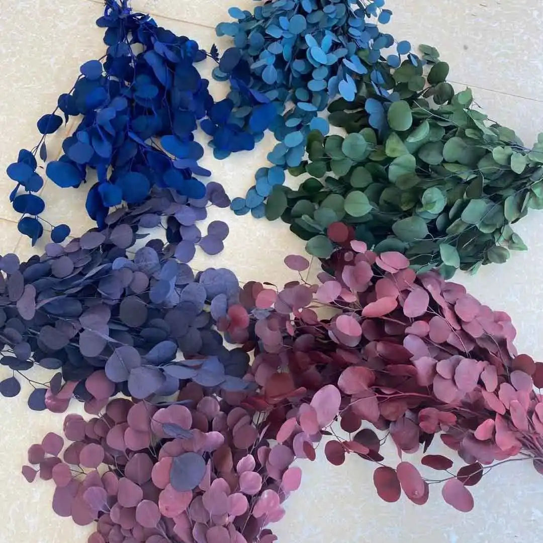 High Quality Natural Flowers Preserved Symphony apple Eucalyptus Leaves