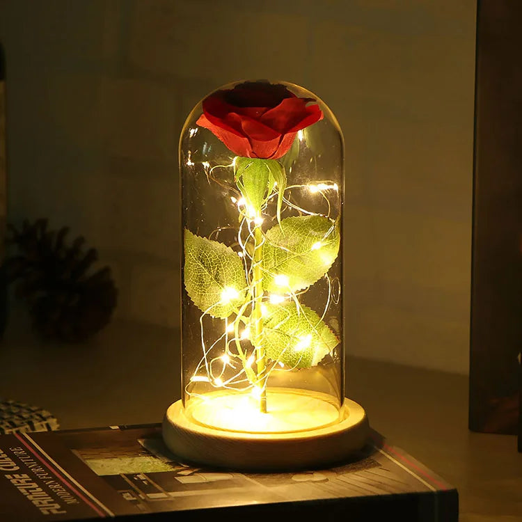 New Design Beauty and the Beast Rose Wholesale Preserved Eternal Roses with LED Lights in Glass Dome