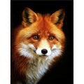 Animal Diamond Painting 5D Full Square/Round Print Painted on Canvas Color Fox Home Decor Cross Stitch Accessories Painting Kit