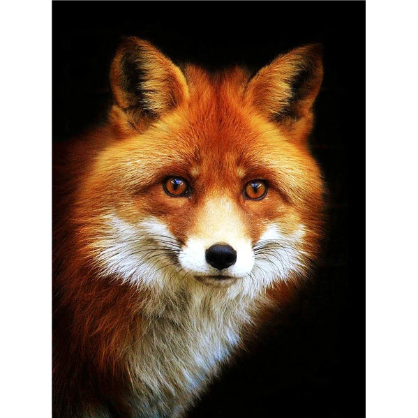 Animal Diamond Painting 5D Full Square/Round Print Painted on Canvas Color Fox Home Decor Cross Stitch Accessories Painting Kit
