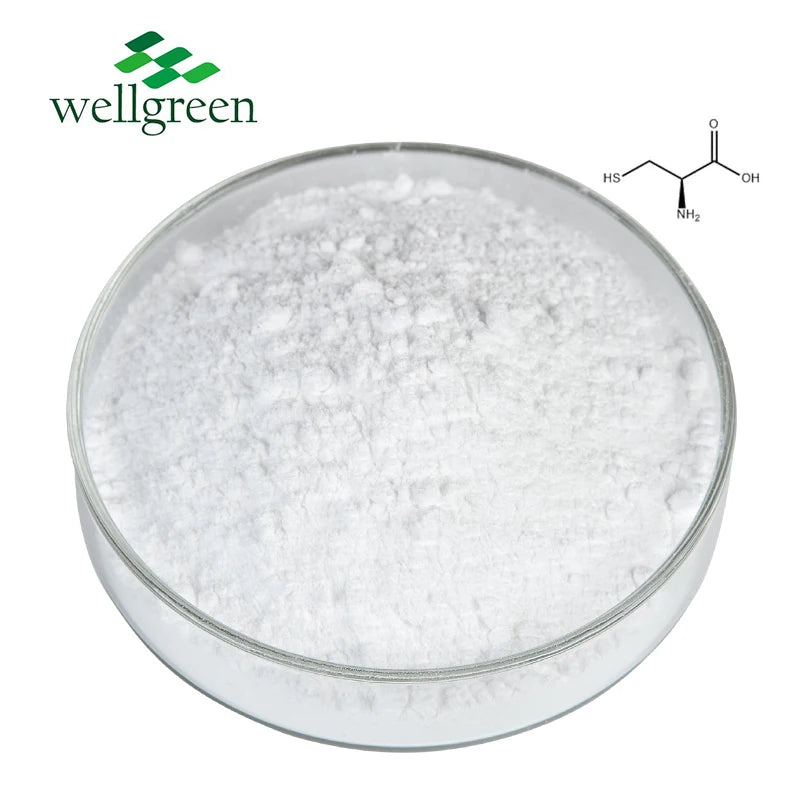 Top Food Grade Powder CAS 52-90-4 Base L Cysteine