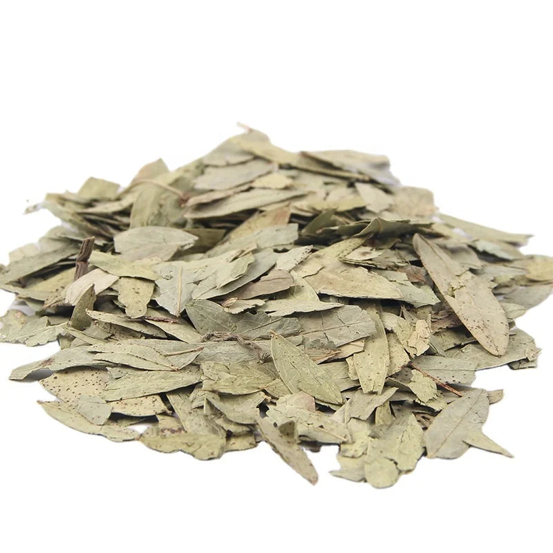 100% Natural Factory Supply Slimming Detox Herbal Natural Dried Senna Leaves Herbs Lose Weight Extract Tea