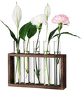 Hot Seller Classic Design Plant Propagation Stations 5 Glass Test Tubes with Wooden Stand for Bonsai Terrarium Propagation MegaBDM