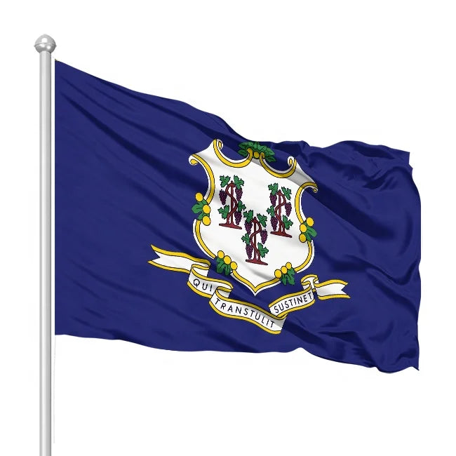 Customized American State Flag Polyester Fabric Outdoor 150-90cm Connecticut Flag