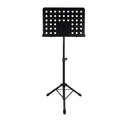 Hot Sale Professional Customization Black Metal Tripod Legs Bassoon Concert Live Music Stand Custom Logo ODM OEM Service Rayyu