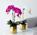 Wholesale Plastic Orchid Plants with Plastic Leaves and Flowers for Home and Garden Decoration Orchid Artificial