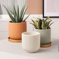 Garden Supplies Indoor Home Decor Small Ceramic White Modern Bonsai Storage Flower Pots Planter Pot Wholesale