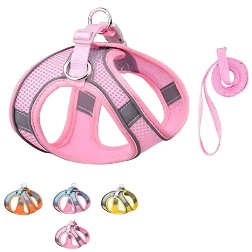 Reflective Air Mesh  Dog Chest Vest Backpack Set No Pull Pet Harness