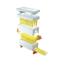 Benefitbee Own Design Plastic Beehive Queen Bee Mating Box Foam Bee Hive Mini Beehive Box