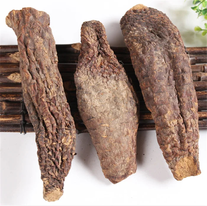 Rou Cong Rong Chinese Herbs and Spice Roots of Cistanche Herba