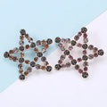 Hot Sale Men's Crystal Star Brooch Pin Women's Clothes Decoration Wedding Floral Pattern Children's Parties Engagements Alloy