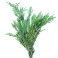 INS Hot Sale Factory Wholesale Preserved Bouquet Flower Real Natural Melaleuca Bracteata for Flower Shop Decoration Gift