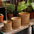 Classic Style Bamboo Weaving Design Cement Flower Pot with Tray for Home Decor