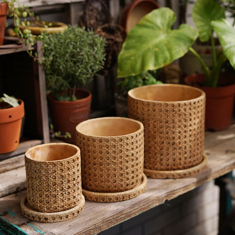 Classic Style Bamboo Weaving Design Cement Flower Pot with Tray for Home Decor