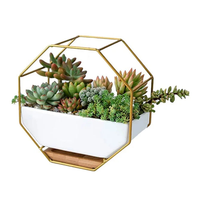 Dropshipping Modern Wall Planter Metal Wire Octagon Design Wall-Mounted Shelves With Ceramic Flower Pot Air Plant Container
