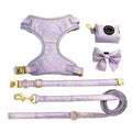 2024 New Arrival Soft Padded Print Logo Dog Leash and Collar Custom Bulk Designer Luxury No Pull Dog Leash and Harness