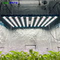 LM301H EVO Led Grow Lights 1000W Samsung LM301H EVO Osr 660nm 730nm LG UV Led Bar Kingbrite Lighting