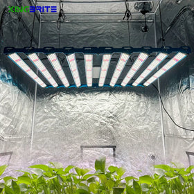 LM301H EVO Led Grow Lights 1000W Samsung LM301H EVO Osr 660nm 730nm LG UV Led Bar Kingbrite Lighting