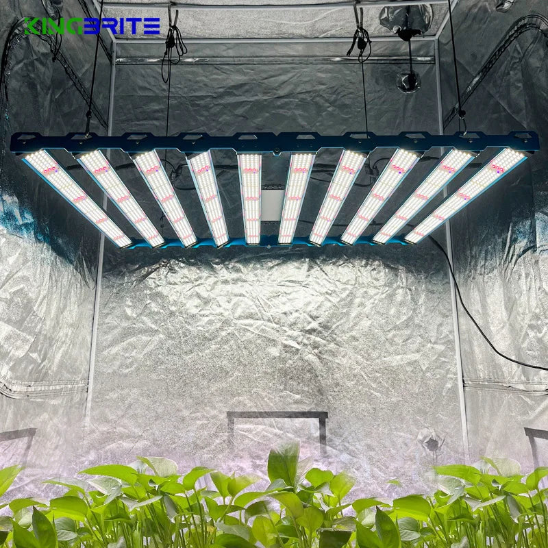 LM301H EVO Led Grow Lights 1000W Samsung LM301H EVO Osr 660nm 730nm LG UV Led Bar Kingbrite Lighting