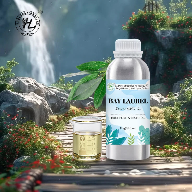 Bay Laurel Leaf Essential Oil for Skin Hair Diffuser  - 100% Pure Natural Plant Extract Premium Grade | Bulk Price 1kg