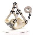 Summer Breathable Mesh Dog Leashes and Chest Harness