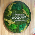 100% Natural Reindeer Moss Plant Wall Art and Moss Panels Creative Preserved Moss Decorations for Mother's Day