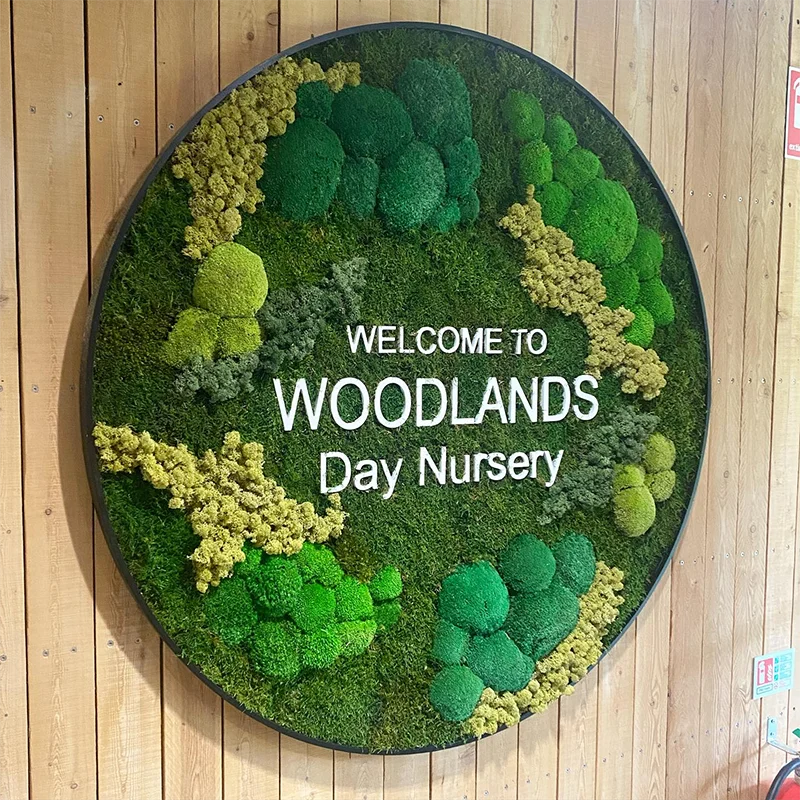 100% Natural Reindeer Moss Plant Wall Art and Moss Panels Creative Preserved Moss Decorations for Mother's Day