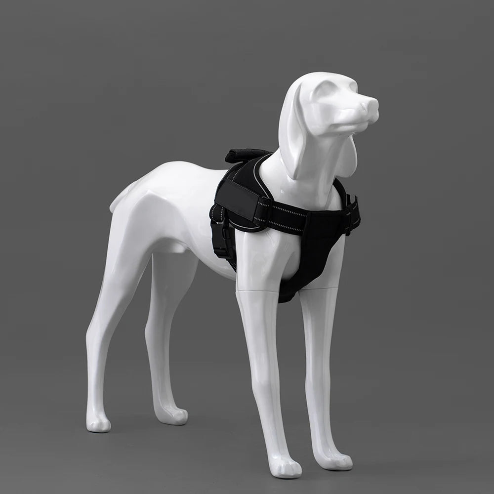 G5 windows Display Pet Mannequin Dogs Animal Fiberglass Dog Mannequin