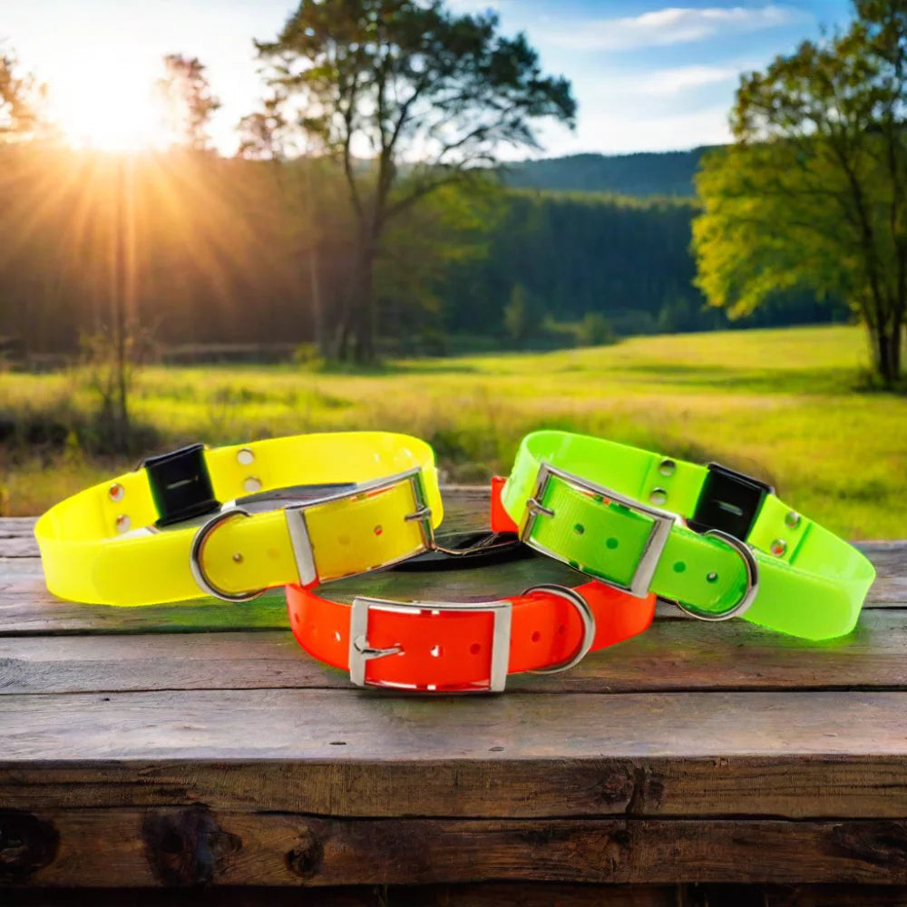 Quick Release Easy-to-Clean Fluorescent TPU Waterproof Dog Collar Luxury Fashion Center O-Ring Buckled Animal Lights Available