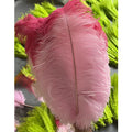 30-35cm Two Tone Natural Plume Ostrich Feathers Dyed Floral for Party Carnival Home Wedding Christmas Holiday Centerpiece DIY