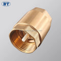 BOTE Durable 1/2"-4" Spindle Air Compressor Brass One Way Vertical Foot Spring Check Valve for Pipe Fittings