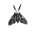 Classic Zinc Alloy Rope Chain Imitation Pearl Deaths Head Moth Anniversary Necklace