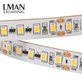 Non Voltage Drop IP20 Project Application 8MM Width DC 12V 24V 9.6W SMD 2835 Led Strip Light