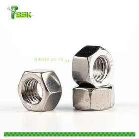 Stainless Steel 304 316 Hex Head Nut DIN934 A2-70/A4-80 Plate Metric Hex Nuts