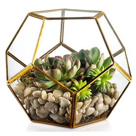Hot Modern Geometric Terrarium Glass Planter Cylinder Flower Pot for Window Tabletop for Wedding Decor DIY Display Gardens