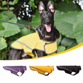 BlackDoggy CB Plaid Sports Lightweight Polyester Breathable Eco-Friendly Dog Raincoat Chinese New Year Pet Apparel Greyhound