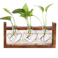 Dropshiping Plant Terrarium With Wooden Stand Desktop Glass Planter Bulb Vase Hydroponics Plant Holder Plant Propagation Station