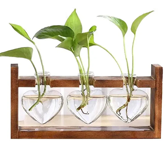 Dropshiping Plant Terrarium With Wooden Stand Desktop Glass Planter Bulb Vase Hydroponics Plant Holder Plant Propagation Station