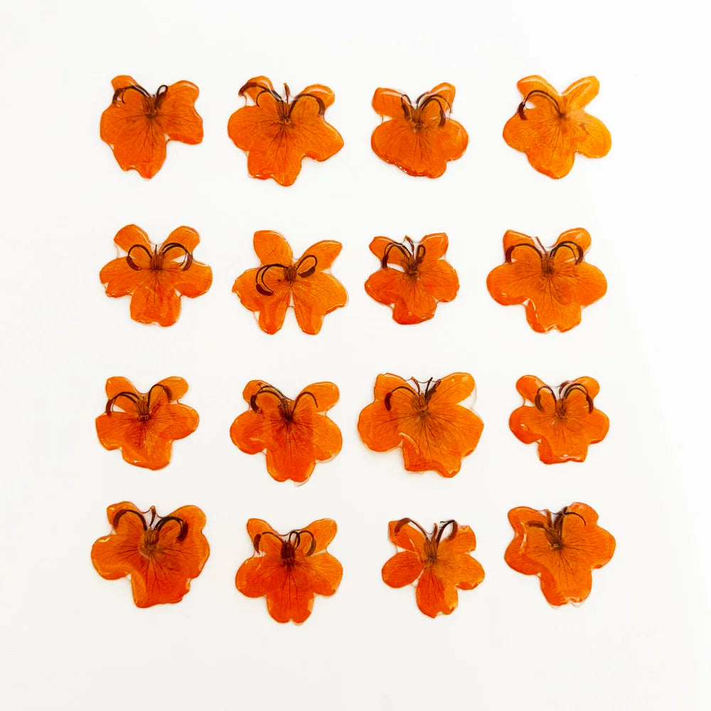 Gold Plated DIY Resin Pendant New Style Design Fashion Plant Flower Accessory Genuine Sicklepod Butterfly Factory Price