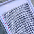 Flourishing Lashes Handmade 6D-8D XXL Tray 384 Fans Superroots Loose Pre-Made Volume Eyelash Extensions Korean PBT Fibers 16 Big