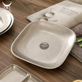 Custom Frosted Vintage Retro 304 Stainless Steel square Plate Industrial Style Western Food Steak Pasta Multi-purpose Plate