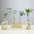 Home Vase Glass Test Tube Vase in Wooden Stand Flower Pots for Hydroponic Plants Home Garden Decoration