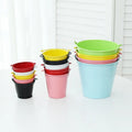 P75 Handle Antique Iron Cactus Pot Iron Vintage Box CLASSIC Planter Pail French Style Flowers Holder Metal Flower Bucket