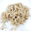 150G MUSCHIO Brand Long Fibered Sphagnum Moss High Organic Matter (>85%) for Potting Sarracenia Pitcher Plants Carnivorous