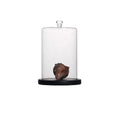 High-End Clear Blown Glass Mini Dome Cover for Cake Display Cross-Themed Nautical Style with Wood Base Gift