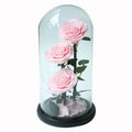 Popular Style Real Fresh Rose Flower 3 Big Princes Forever Rose Glass Natural Touch Large Eternal Birthday Gift for Girlfriend